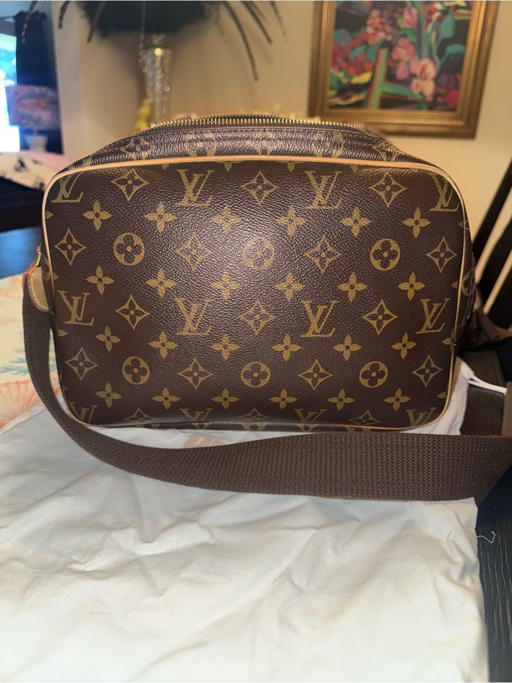 Louis Vuitton Reporter Bag Monogram Canvas PM - Picture 3 of 13